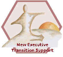New Executives Transition Support (NETS)